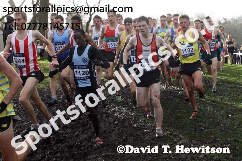 Senior men and under-23 mens 2017 British Athletics Liverpool Cross Challenge, Sefton Park, Liverpool. Photo:  David T. Hewitson/Sports for All Pics